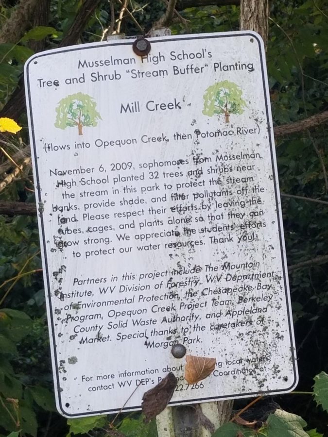 Pictured is the sign located near the Cap. Morgan Morgan monument. The sign denotes that the MuHS sophomore class of 2009 donated shrubs and tress .