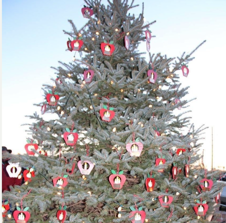 Pictured is the tree standing in front of MuHS. It has served as a symbol of the community since 2000. 